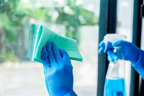 Window Cleaning Service